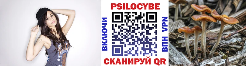 где можно купить   Красноуфимск  Галлюциногенные грибы Magic Shrooms 