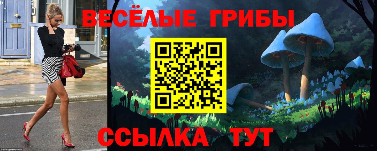 Псилоцибиновые грибы Psilocybe Красноуфимск