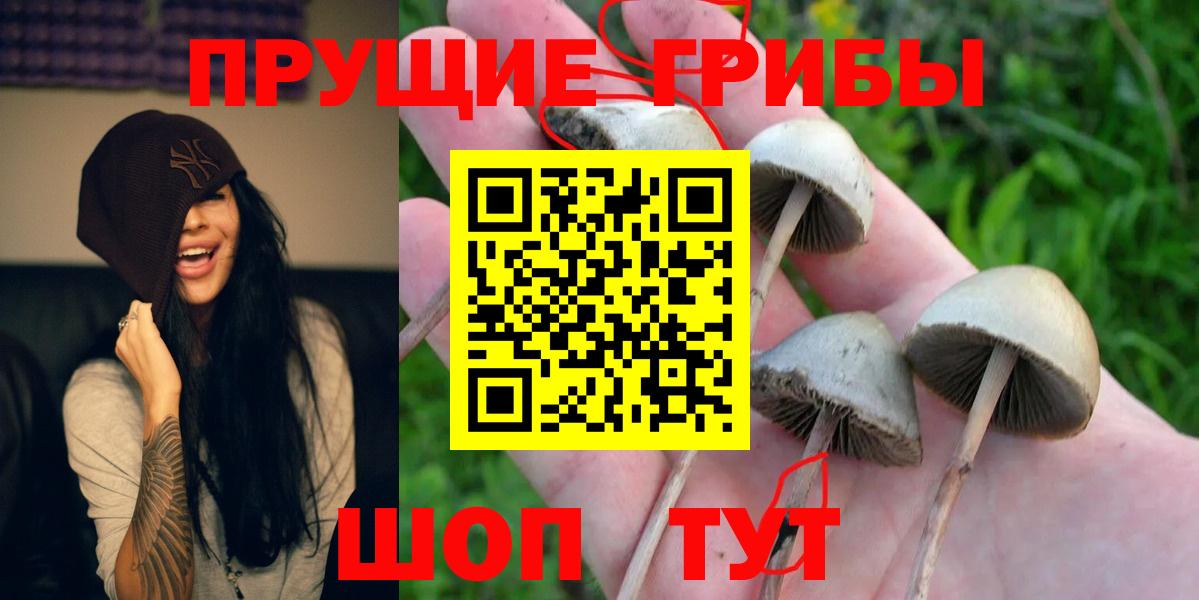 Красноуфимск  Псилоцибиновые грибы Psilocybe  Вход с VPN  Псилоцибиновые грибы MAGIC MUSHROOMS 